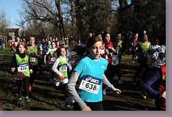 Begles 15.12.13 01 460 * 679 x 453 * (156KB)